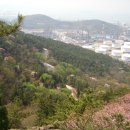 여수이순신대교 이미지