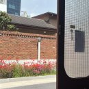 홍문장칼집 | &lt; 동명동 &gt; &#34; 홍문장칼집 &#34; 내돈내산 솔직 후기 ,,, ㅜ