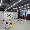 한국체대 제일 태권도장 이미지