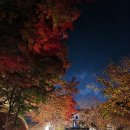 와이글램핑 | 아산 여행 숙소 | 아산 와이 글램핑 내돈내산 후기 (외암민속마을에서 걸어서 16분)