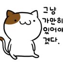 캣동산 이미지