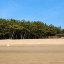 사유지 | 태안 갈음이해수욕장 캠핑 후기 사유지해변 입장료와 1박 야영비