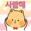 어반동물병원 이미지