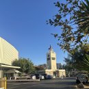 롤앤밥스 | LA 가볼만한 곳 추천 디 오리지널 파머스마켓 맛집 후기 (파스타·엠빠나다)