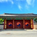 홍산향교 은행나무 이미지