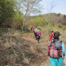 여수 영취산 진달래 산행과 오동도 탐방 이미지