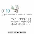 정성로스 이미지