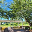 로드수펜션 | [경주 숙소] 양남 로드31 펜션 후기