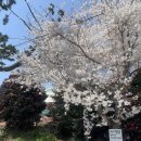 구조라로 2길 이미지