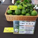 신효동-30 이미지