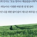 게으른 날 이미지