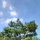 서울매헌초등학교