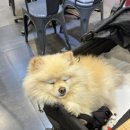 롯데리아 롯데동부산아울렛 1층 이미지