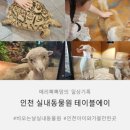 인천 실내 동물원 &#39;테이블에이&#39; 동물교감+키즈카페+체험존까지 완벽했던 아이와 체험 후기!