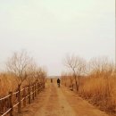 삼락당구장 이미지