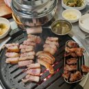 조가네 이미지