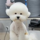 몽말순 이미지