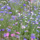 선산대로10-10 이미지