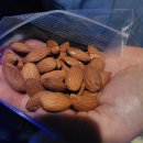 아몬드 공동구매 .....아귀꾼채 이미지