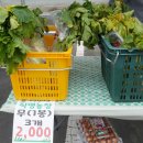 의성진오계절꽃차 이미지