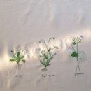 정원 꽃을 수 놓는 프랑스자수 이미지