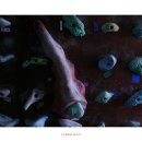 수원-0725 이미지