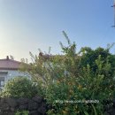 면수동마을회관 옆 주차장 이미지