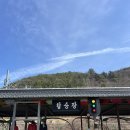 전주 한옥 마을 전주는 전주 솔직 후기 + 레일바이크 꿀팁