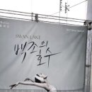 백조상회 이미지