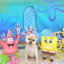 여주 멍스타 이미지