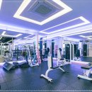 짐샤크 하안점 이미지