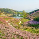 무릉도원 이미지