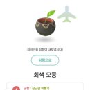 세븐일레븐 무주반딧불점 | 250703~250706 돗토리&amp;시마네 여행 - 첫째날(아다치미술관, 니치난정 반딧불 밤하늘 산책 투어)