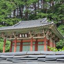 숭열전입구 Daum카페