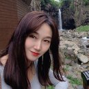 푸른캐노피 이미지