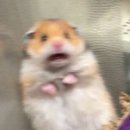 기범 | 🐹기범 플레져샵🍸 엠카 사녹 후기