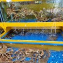 유미수산 이미지