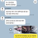 튼튼동물치과병원 이미지