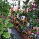 제주가원 이미지