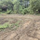 베드로 농장 이미지