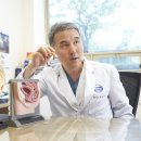 분당-269 이미지