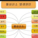 🔴소리없는 침묵의 살인자 .. 혈관질환 뇌질환, 심장질환은 예고없이 찾아와 목숨을 앗아갑니다. 주위에 혈압약 드시는 분들이 많습니다. 이미지