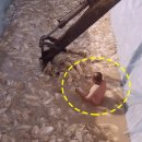 남춘네 숯불닭갈비 이미지