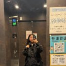 혼자 떠난 후쿠오카여행 숙소 추천 | 언플랜후쿠오카 9박10일 후기