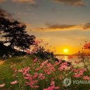 죽청대파니마을 이미지