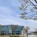 선학하키경기장 | 선학국제빙상경기장 방문후기
