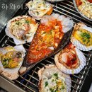 하와이조개 수유점 이미지