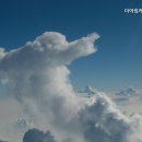 케어크린 이미지