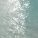 다올펜션 이미지