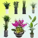 장성 꽃 화원 이미지